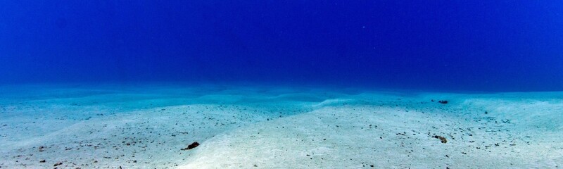 Underwater Background Very Cool