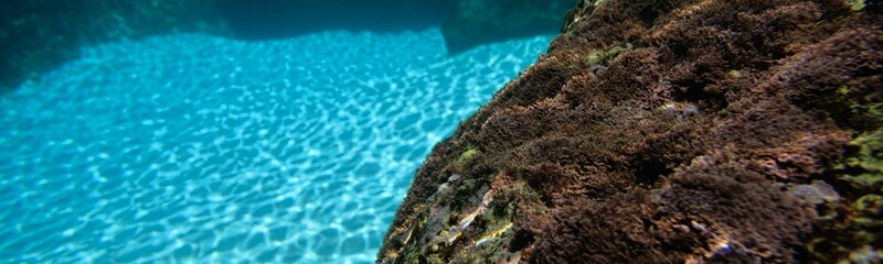 Underwater Background Very Cool