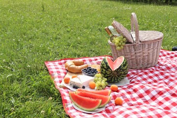 Picnic blanket with delicious food and wine outdoors on summer day, space for text