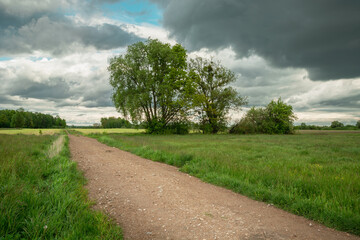 Fototapeta na wymiar Dirt road between meadows with trees and cloudy sky