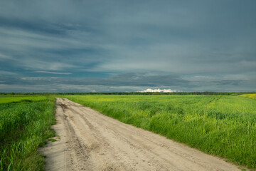 Fototapeta na wymiar Sandy road through green fields and cloudy sky