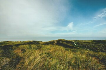 landscape with sky