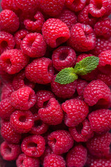 Lots of raspberries with a mint leaf. A handful of sweet ripe raspberries. A combination of red and green.