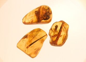 Amber, jewellery, Inclusions, gift, nature,