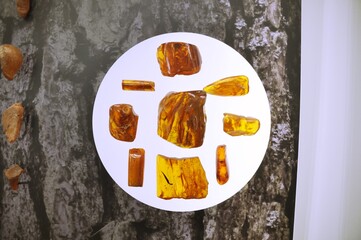 Amber, jewellery, Inclusions, gift, nature,