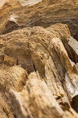 Excursion to the Gran Paradiso in the Alps. Search for rocks, minerals and precious stones. Study of the surface of rocks with sedimented debris over time. Lunar landscape, Martian landscape.