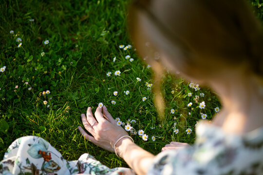 photo on a green background, green grass and daisies.  beautiful blonde girl collects daisies in the field.  female hand
