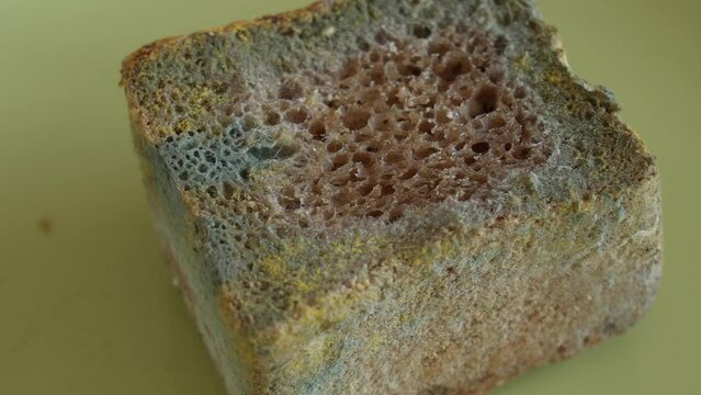 Spoiled food concept. Close-up view 4k stock video footage of old spoiled bread with growth of colorful mold on its surface