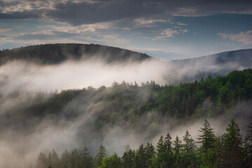 Fototapeta na wymiar Morning mists over the Karkonosze Mountains. Poland
