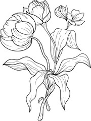 hand drawn flower composition