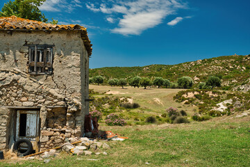 Old stonehouse .and olive trees, rural landscape in Greece - 519987761