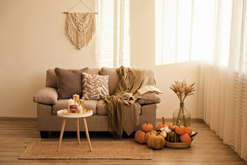 Bunch of pumpkins of different kinds, shapes and colors on the floor and a table, open book and cup...