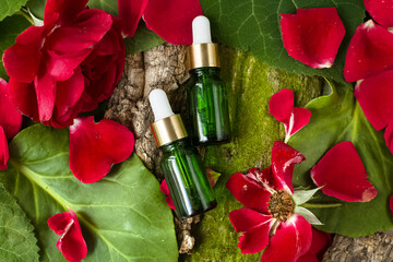 Eco cosmetic products for skin care of the face, body. Glass cosmetic bottles with natural essential oil, prebiotic serum on background of leaves, moss, petals. Advertising, website