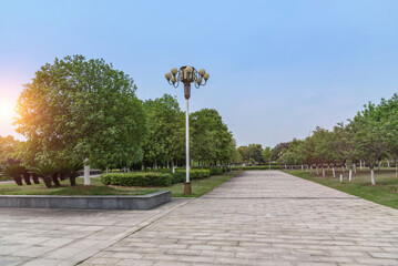 outdoor empty marble road with trees in the park
