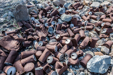 Cans littering in the wild, Rusted cans disposed in a natural environment, showcasing the impact of neglect and pollution on our surroundings