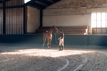 indoors education and training of horse at equine farm center - female instructor