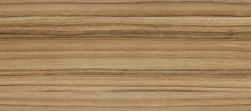 wood natural design, Abstract wood texture background - image