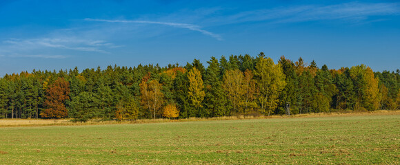 panorama view on landscape with fields and forest in autumn