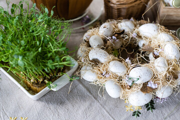 Bird nest of eggs for easter.