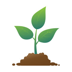 Planting sprouts. Seedling icon vector illustration isolated on white background.