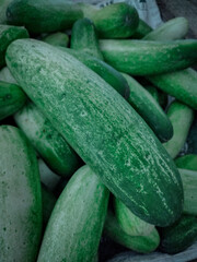 closed up of cucumbers in the market