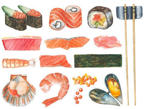 Watercolor japanese rolls and sushi with its ingredients. Receipt of asian cuisine. Fresh products for cooking - salmon, tuna, shrimp and mussel. Healthy food isolated illustrations.