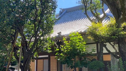 Roof of the main temple of “Saikyoji” at Todaimae, the bonsai trees and the beautiful curve of...