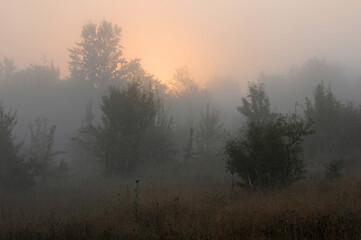 Hazy Sunrise on the hill