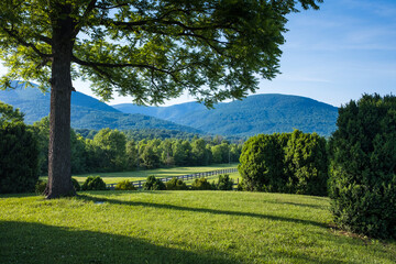 Blue Ridge Mountains with Tree and Green Field in the Foreground