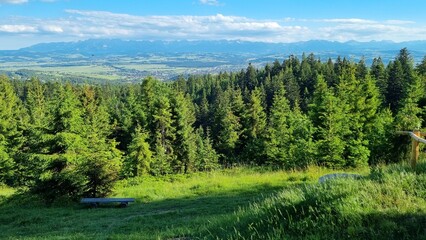 Fototapeta na wymiar landscape with trees and Polish Tatra mountains