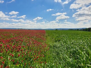 Leading Quality Trails Best of Europe - Luznice