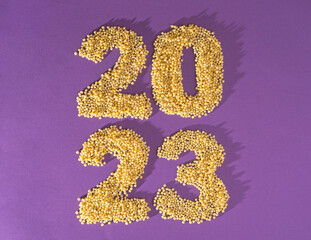 2023 year with millets cereal.  Creative International Year of Millets Concept