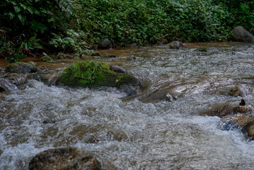 Fototapeta premium nature wallpaper.