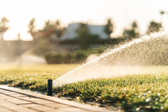 aspersor en jard&iacute;n publico echando agua  al atardecer