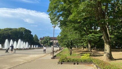 The grass, trees and the fountain at the park of Ueno Tokyo Japan, year 2022 July 28th