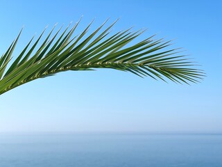 Obraz na płótnie Canvas Palm tree leaf against blue sea and sky at summer.