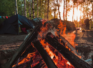 Burning campfire in a forest. Bonfire close up. Autumn relax camping mood. The firewood is red-hot. 
