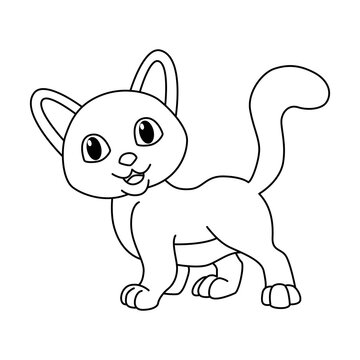 Cute cat cartoon illustration vector.