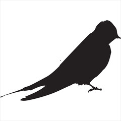 Vector, Image of swallow silhouette, black and white color, with transparent background


