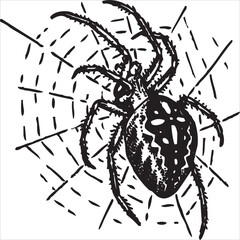 Vector, Image of spider, black and white color, with transparent background

