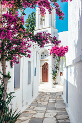 Streets of village of Pyrgos with Cycladic houses and the Bougainvillea flowers tree on Tinos island, Cyclades, Greece