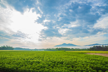北海道　斜里町の風景
