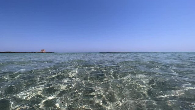 View from the water of the beautiful, pristine and uncontaminated bay of Torre Guaceto Natural Reserve, Italy, with the tower far away and shallow sea.