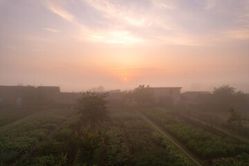 Naklejka na ściany i meble Beautiful foggy morning in the village