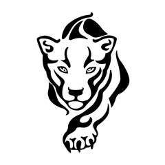 Crouching predator on white background