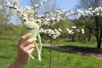 Fotobehang Frog toy in the hands of an unrecognizable child in nature. The photo shows a child's hand with a toy. The boy is holding a green knitted frog in his hands. Knitted handmade dolls. Knitting. Hobby. © Elena