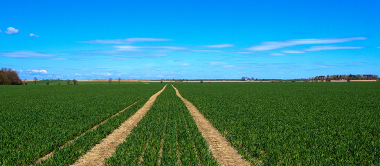 polna droga © Monika