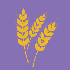 Dry spikelets of rye, illustration, vector