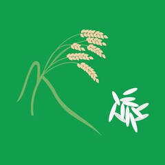 Fototapeta na wymiar Rice ears and white rice, illustration, vector