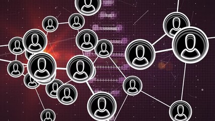 Digital animation of profile icons interconnecting with lines over rotating dna helix and light - Powered by Adobe